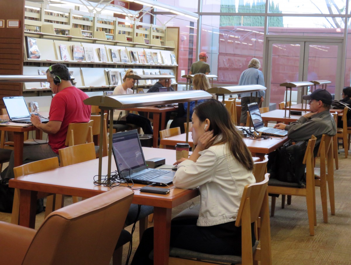 library_study_homework_education_studying_school_student_knowledge-799419